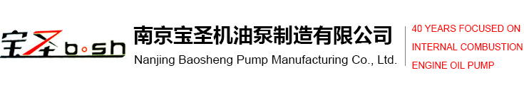 Nanjing Baosheng Pump Manufacturing Co., Ltd.